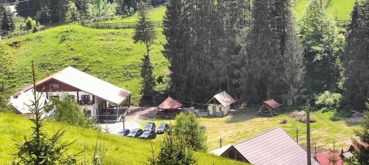 Pensiunea Trei Brazi Arieşeni Exterior foto