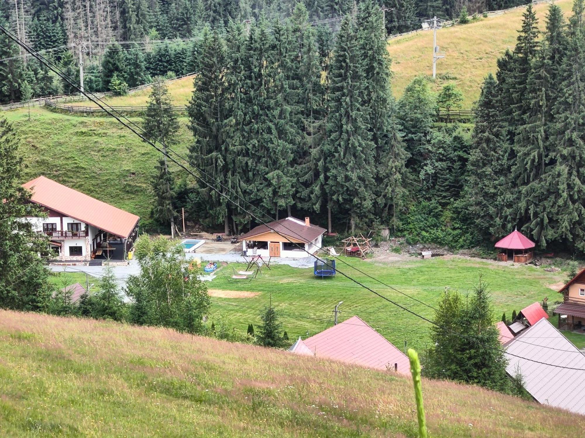 Pensiunea Trei Brazi Arieşeni Exterior foto